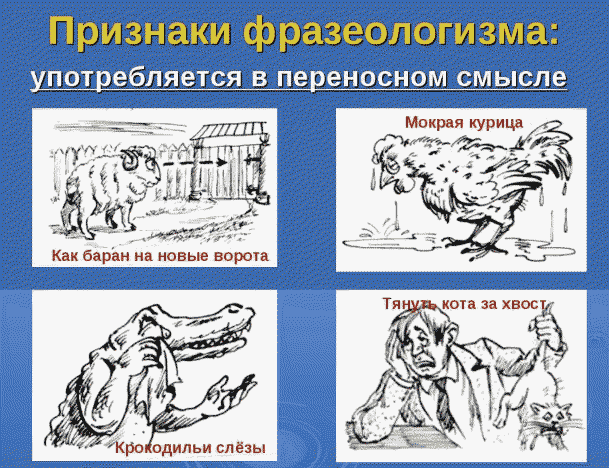 Фразеологизмы: что это, примеры, как найти в тексте