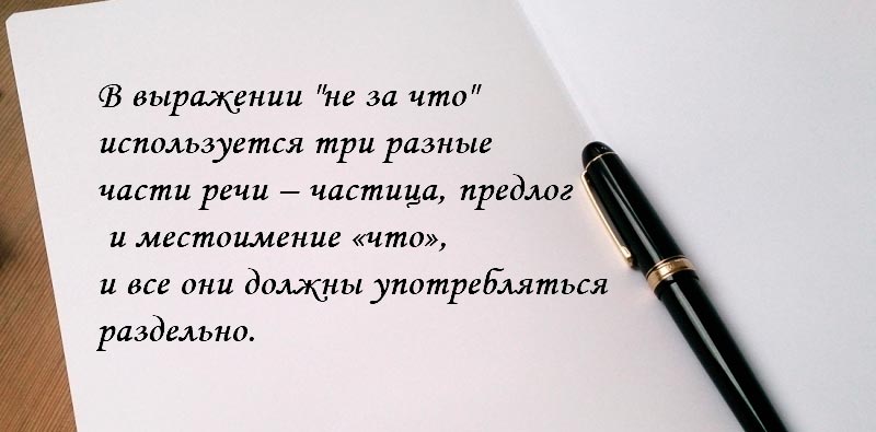 Психолог рассказала, почему на «спасибо» нельзя отвечать «не за что»