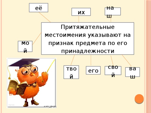 Притяжательные местоимения презентация 6 класс русский